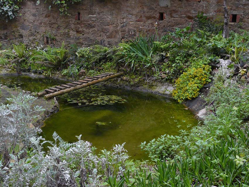 Il Laghetto del Centro di Entomologia - Piombino (LI)